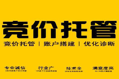sem竞价推广托管：从零到一的成长历程